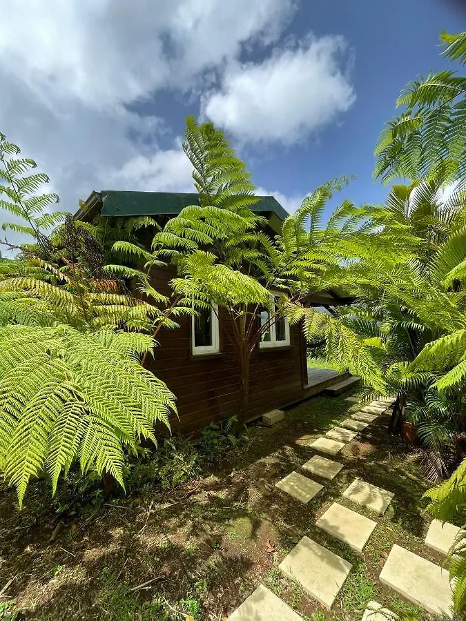 Bungalow A Flanc De Colline Le Morne-Rouge