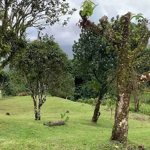 Hébergement de vacances 972b-coin De Verdure Au Pied De La Montagne Pelee, Le Morne-Rouge